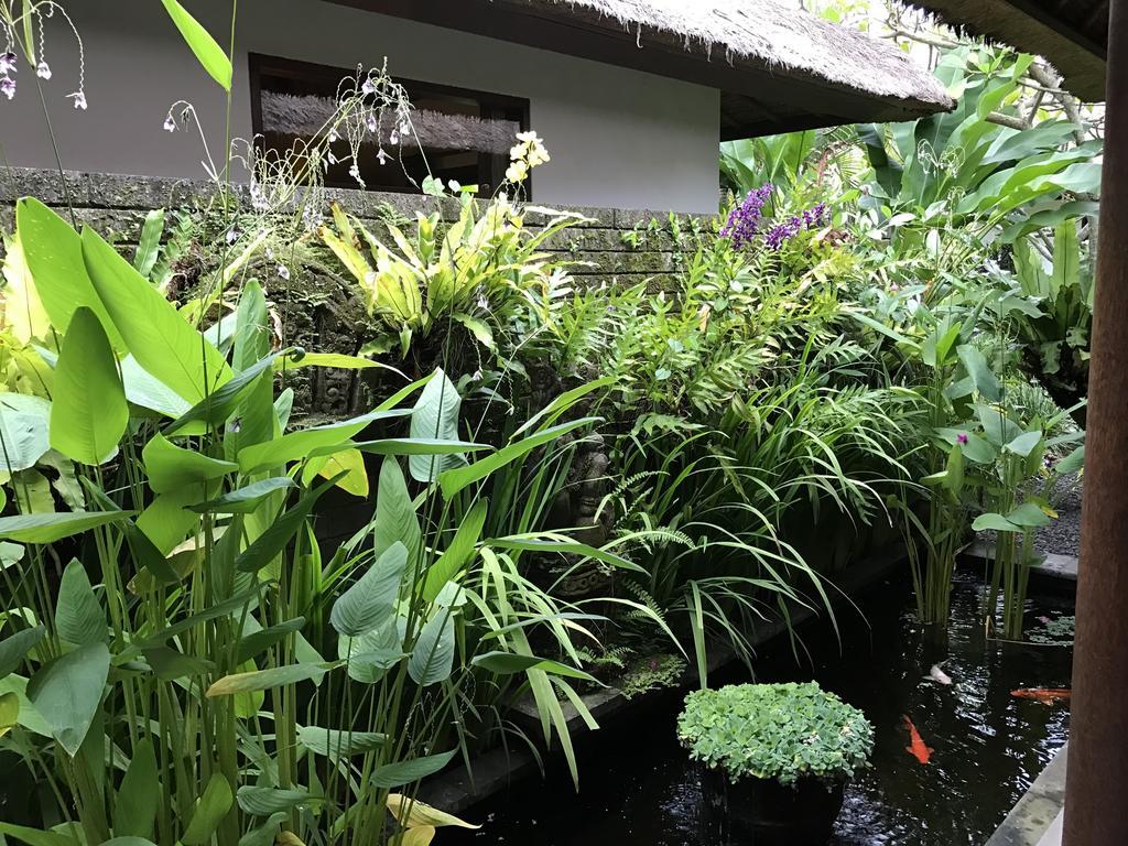 Bali Villa Aja Seminyak Dış mekan fotoğraf